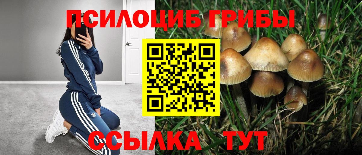 Еманжелинск  Галлюциногенные грибы GOLDEN TEACHER  Вход с VPN 