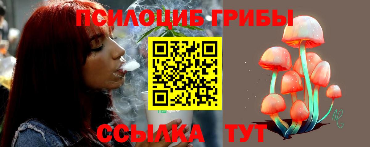 Галлюциногенные грибы Cubensis Еманжелинск